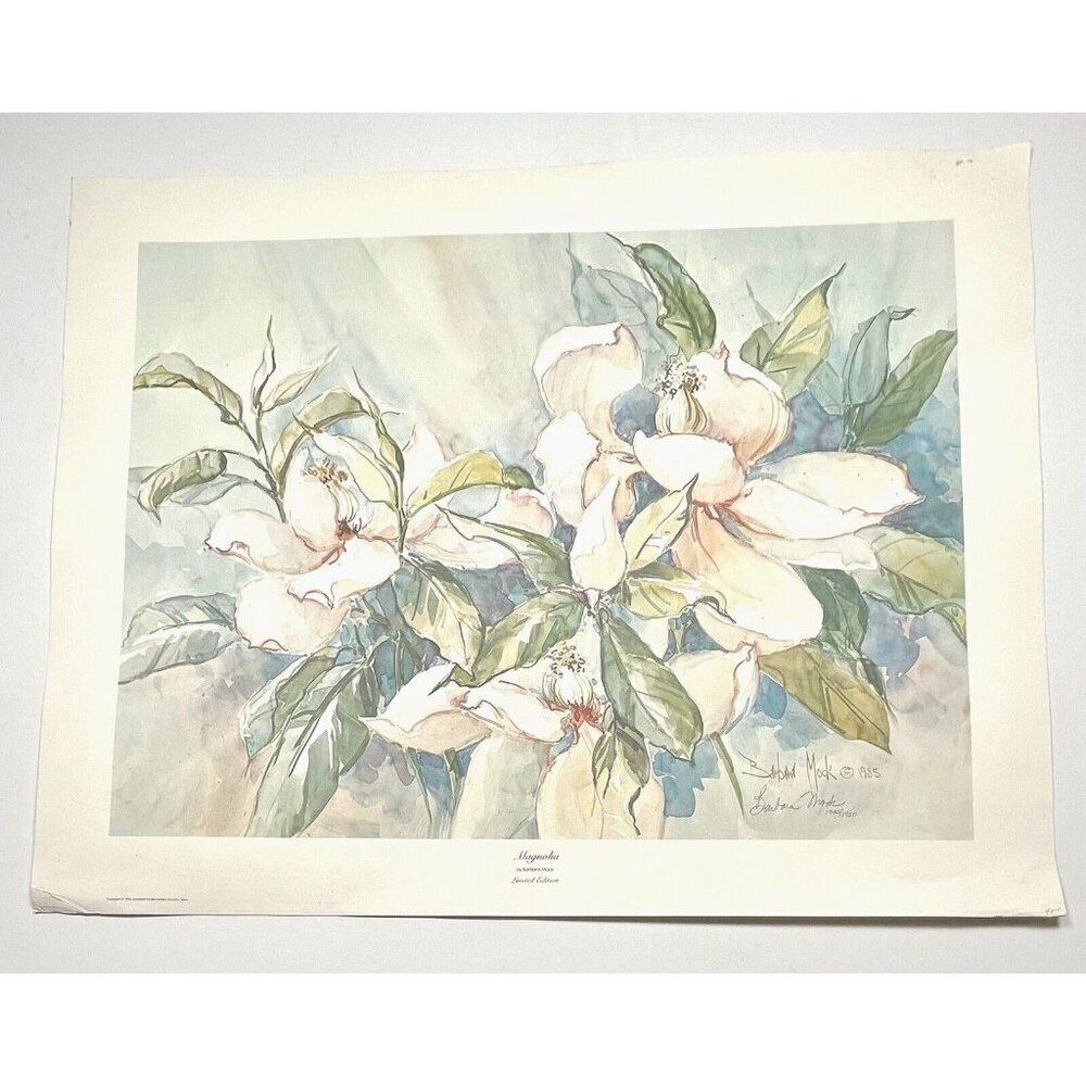 26.5"x21" Ltd Ed Signed Numbered Print MAGNOLIA by BARBARA MOCK 1986 Somerset